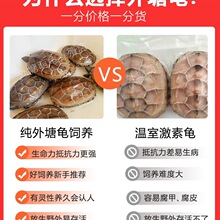 �����������A������С�������������B�L�ی������^�p������