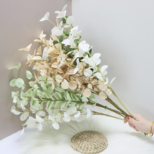 ���X�~����~�����Ʒ�[���Ӽ��b��Ĕz����PE�����ȼ����~���l