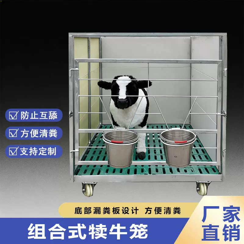 养牛设备可移动式犊牛笼漏粪板设计方便清粪木板间隔防止小牛互舔