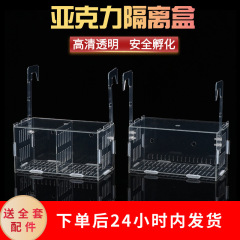 ミニオウム、グッピー、ベタ、飼育ケージ、水槽隔離ボックス、アクリル製稚魚ボックス、卸売