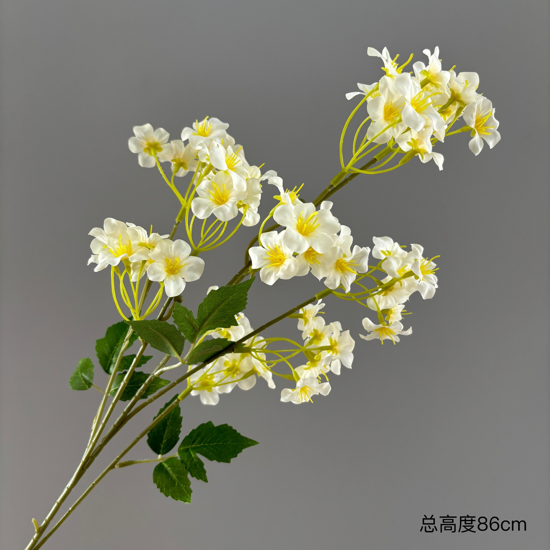 돌리 유통