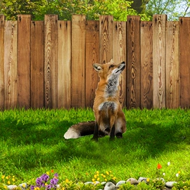 挂饰挂件;墙贴;户外庭院摆件