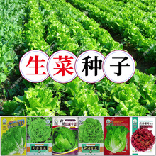 ���l�~���n���_�R����������Ѵ����������~�Y�������߲˷N�Ӵ�ȫ