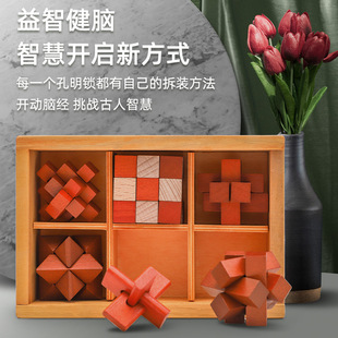 Luban Lock Kongming Lock Complete Set Nine Linked Rings Children's Educational Toy Elementary School Building Blocks Mortise and Tenon Intelligence Unlocking Toy