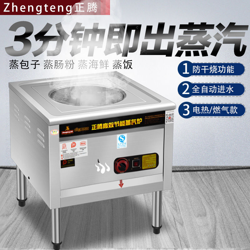 horno de paquete Zhengteng calentamiento eléctrico horno de vapor comercial multifuncional bolos fríos piel de gas jaula pequeña bolsa de pan al vapor salchicha ahorro de energía vapor