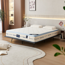 乳胶床垫卧室双人床现代简约席梦思记忆棉静音独立弹簧床垫