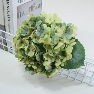 �����ͮ������֦��ɫ����Wʽ�T鹻��h�廨�����Y���������b�