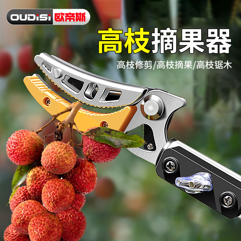 Tijeras de ramas altas, tijeras de recolección de frutas, varillas telescópicas, recolección de frutas, nísperos, corte de árboles frutales, corte de ramas, tijeras, recolector de frutas