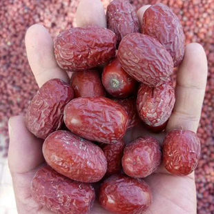 2026���½��җ���Ǽδ��ϴ�خaԭ���B���ɗ�����