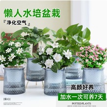 ˮ��ֲ��d�ӻ������ļ��_�������҃Ⱥ��B���򻨻ܾ�����Gֲ��