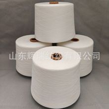 �����F؛Sorona40/R40/T30  25s 30s ���_�Ⱦ����޻켏��