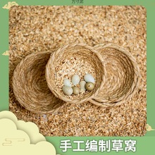 «�����µ���������������Ʒ�쾰�����С���׼�������������