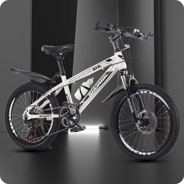 Shock-absorbing bike shifter (brake handle) disc brake, deluxe edition