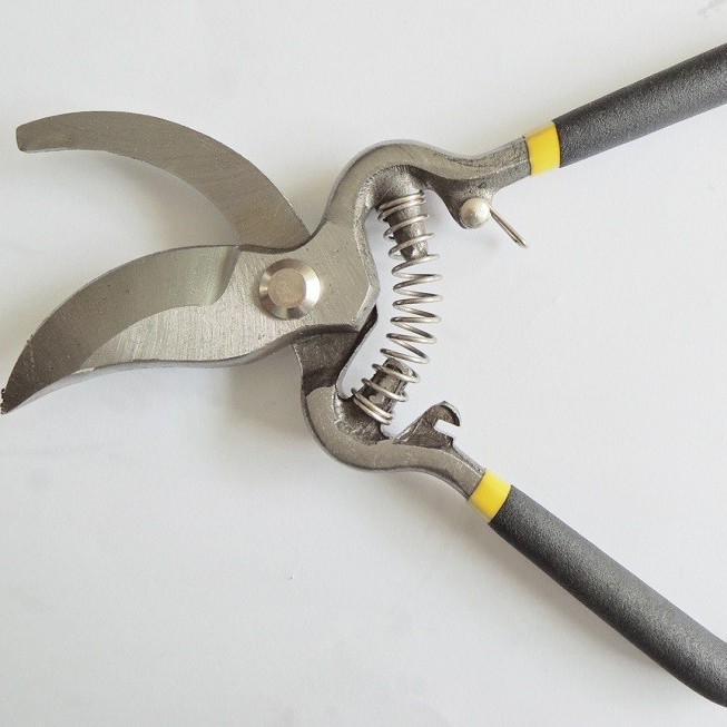 Tijeras de jardinería de 8 pulgadas para podar ramas de frutas, tijeras para podar flores, herramientas para podar ramas, tijeras para podar árboles frutales.