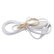 USB款带501开关铜线灯串 玻璃罩干花串灯圣诞节日装饰小彩灯