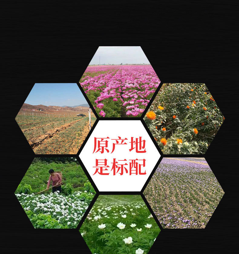 She Liu Gu Slices (Amorphophallus konjac) — Dried Chinese Herbal Rhizome, 500g preparation