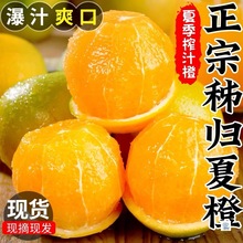 当季新鲜橙子9斤大果秭归夏橙当季橙子9斤大果新鲜多汁现摘手剥橙