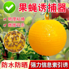 �Tω����ٴ�ω�Ϲ���ω�T�����ωճ�x���T�x��Ϲ�ճω�����l