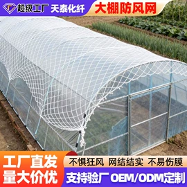 其他安全网;攀爬网;大棚网