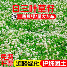 ���~�ݷN�Ӱ����~���Ѽt���~�N���ļ����ƺ�ļ����N���ݹ��@�G��