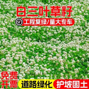 ���~�ݷN�Ӱ����~���Ѽt���~�N���ļ����ƺ�ļ����N���ݹ��@�G��