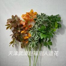 ����Gֲ����ľ ���^���̻�c�b���@���쾰�lؔ�~�����~�羳