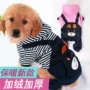 金毛新款幼犬卡通衣服