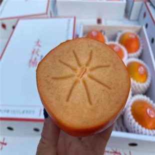 ˮ����������r�� ��S�������Ә������l �伴ʳ