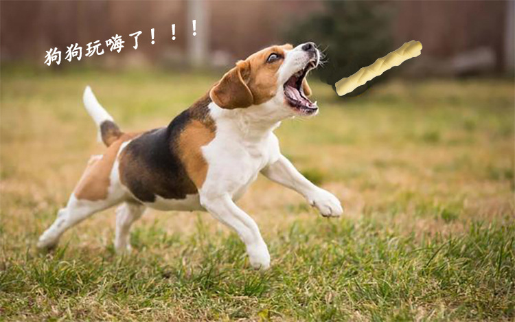 2345_image_file_copy_1