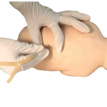 ������������ģ����������׵���̷���ģ�ͣ�Ӥ����׵����ѵ��ģ��