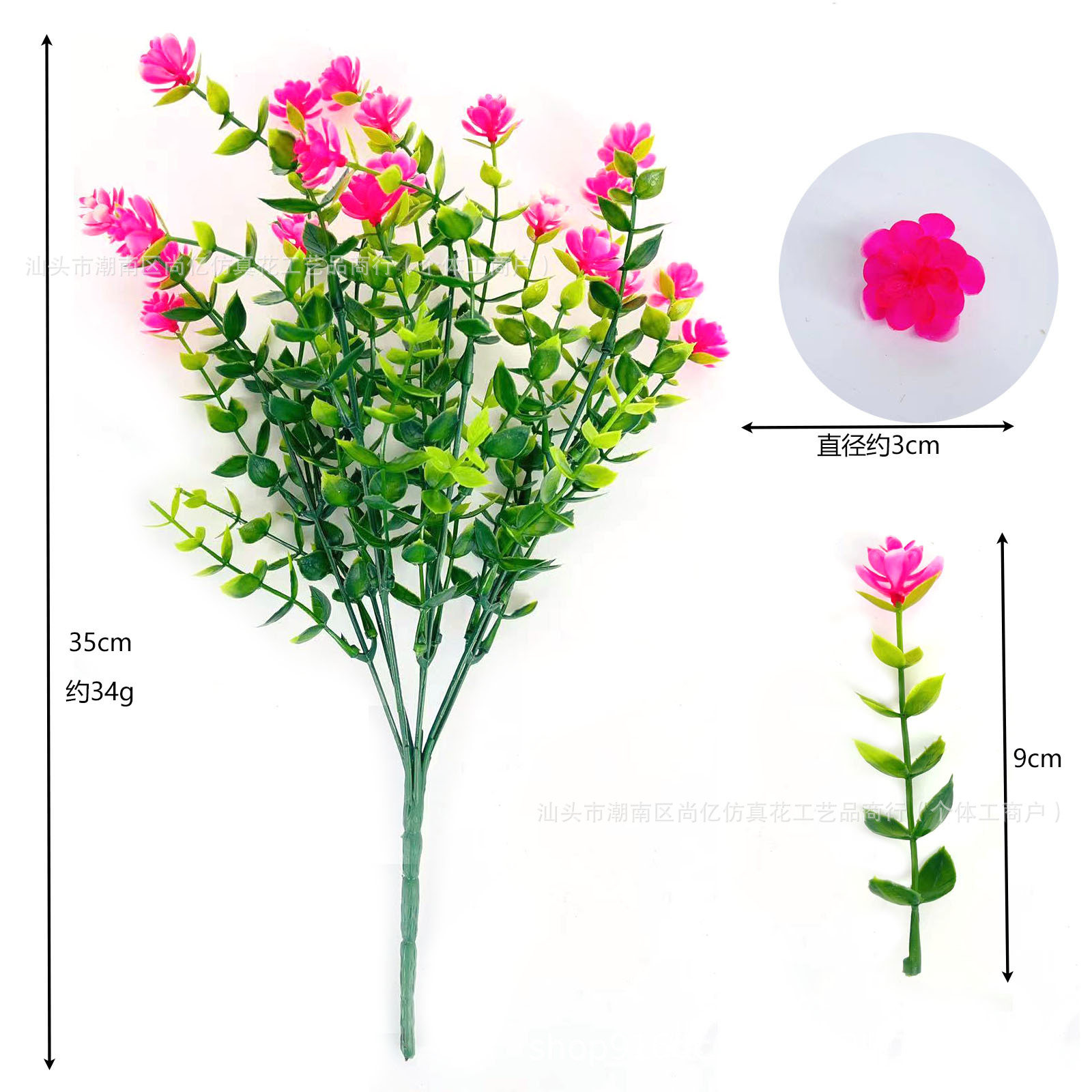 Camellia eucalyptus - rosa