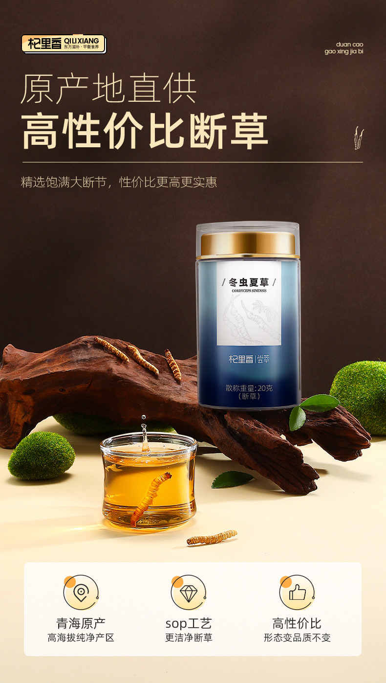 Dried Cordyceps Broken Stems 20g Jar Chinese Herbal Cordyceps sinensis for Cooking overview
