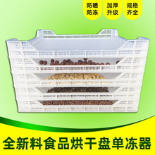 烘干塑料单冻器塑料筐长方形网格盘海鲜冷库晾晒托浅筐筛子食品级