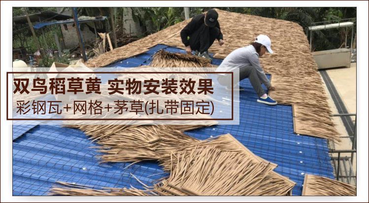 全部主图 安装详情图3 无电话