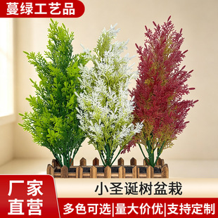 �羳������}�QС�ɰؘ�ز����ԁ��R�d����Gֲ�G��ͥԺ�b����l