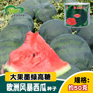 �r��W���L�����ϷN�� �������ϷN�����\ݔ ɳ���r��Ʒ�N