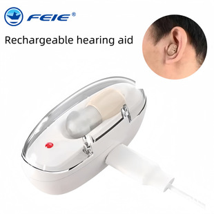 Flying Goose Cross-border Trade Elderly Charging Hearing Aids Deafness Wireless Behind-the-Ear Hearing Aids