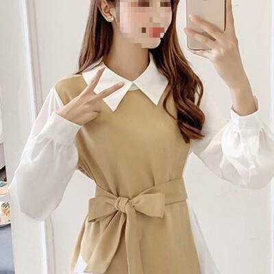 Elegant Versatile Slimming Shirt for Women Korean Style Waist-Cinching New Autumn 2025 Fashionable Chiffon Blouse Top