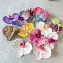 ���滨���z�޺����m���^���ֶY�^���b��»�Y�b�Ʒ�Y���b