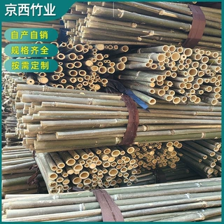 可定制庭院篱笆栅栏‌苦竹蔬菜黄瓜番茄豆角爬藤架园艺竹竿支撑杆