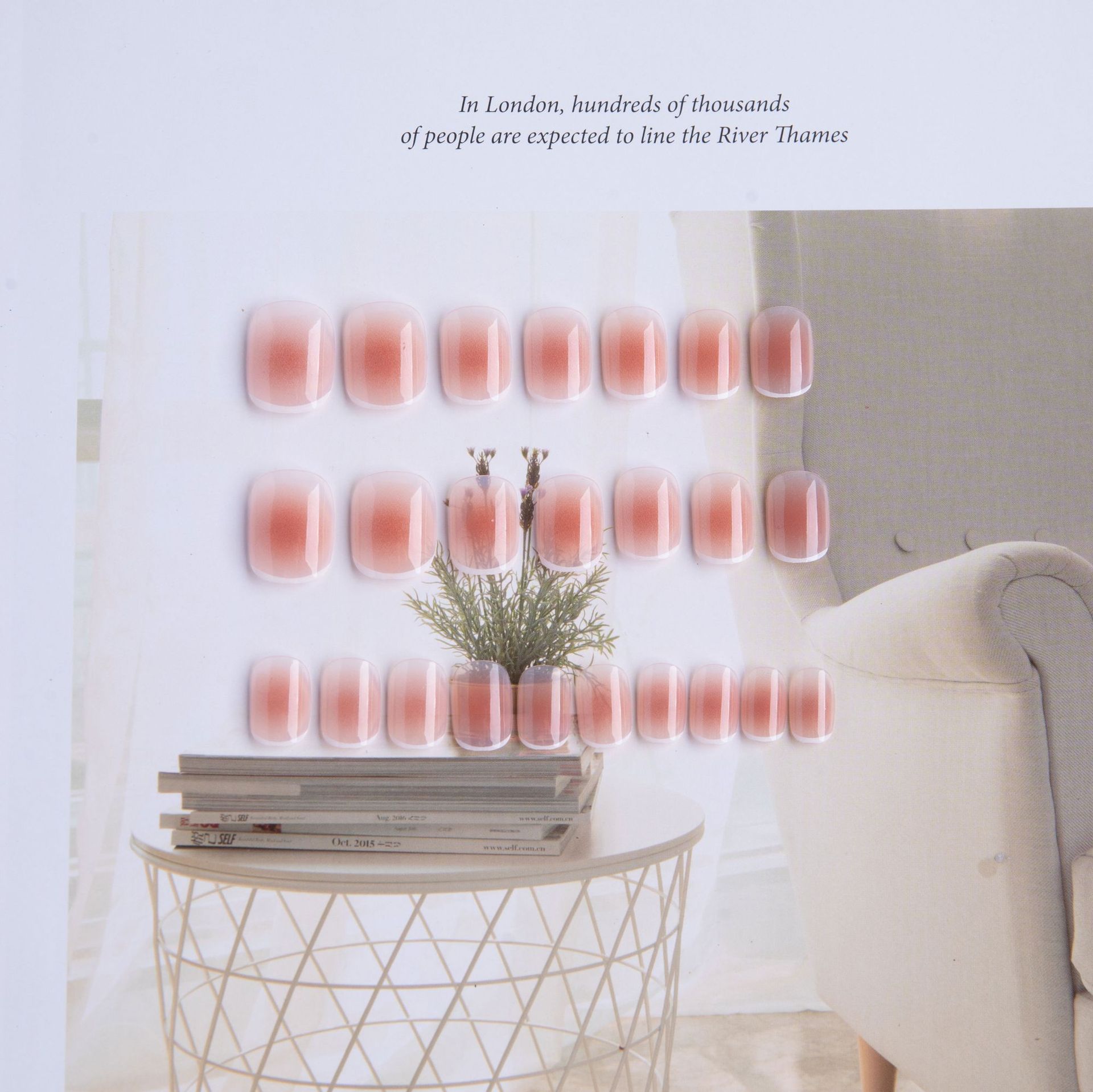 M216小家碧玉 (1).jpg