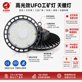 太阳能灯;道路照明灯;投光灯