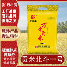 万年贡米北斗一号5kg长粒籼米农家自产大米10斤新米江西特产