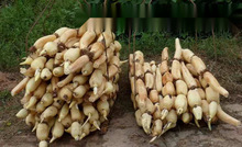 \ˮźNɏźNźˮźN ߮aʳɏźN źź牾