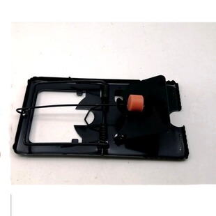 ���������F�|������LЧ�����F�A���B�m����������A����A������