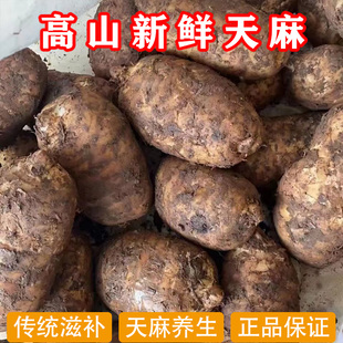 Ұ�����r������Ȼg���ؼ�����������ͨ�������ڰl�Ҝ�