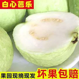 传统糕点;西式糕点;饼干