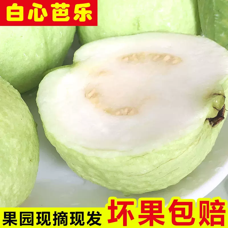 新鲜采摘芭乐番石榴脆甜珍珠潘石榴白心热带当季人吃的水一件批发