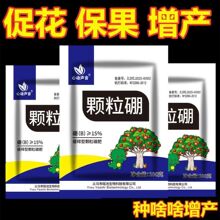 �w������r�����w�������߲˹��仨���������Ԉ@ˇ���Ͼ�ጷ��w��