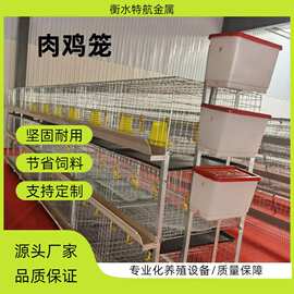 三层立式肉鸡笼 镀锌材质养鸡设备养殖场层叠式肉鸡笼